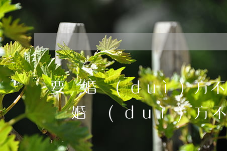 要離婚對(duì)方不同意怎么辦(我想要離婚對(duì)方不同意怎么辦)