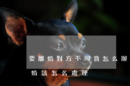 要離婚對方不同意怎么辦(如果男方不同意離婚該怎么處理)