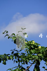 要離婚心很慌怎么辦