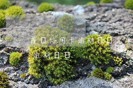 覆蓋信用卡逾期記錄需要(怎么能消除信用卡逾期記錄)