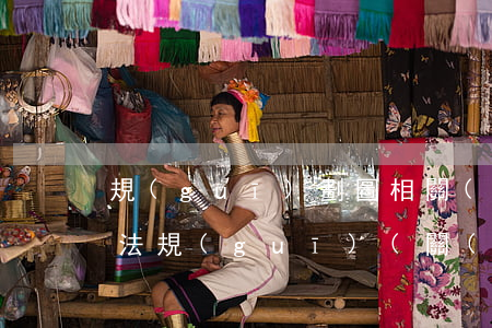規(guī)劃圖相關(guān)的法律法規(guī)(關(guān)于規(guī)劃的政策法規(guī))