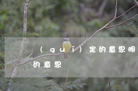 規(guī)定的意思(明確規(guī)定的意思)