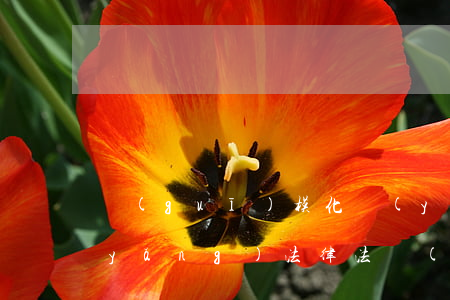 規(guī)?；B(yǎng)殖禁養(yǎng)法律法規(guī)(《畜禽規(guī)模養(yǎng)殖污染防治條例》規(guī)定了些啥)