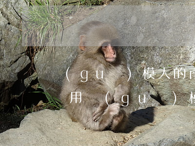 規(guī)模大的南京債務(wù)律師費用(規(guī)模大的南京債務(wù)律師費用)