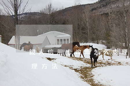 親人信用卡逾期怎么處理(信用卡逾期怎么處理方法)