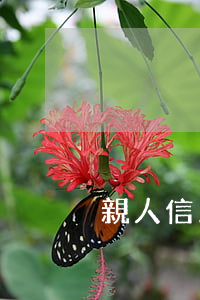 親人信用卡逾期怎么處理(親人欠信用卡)