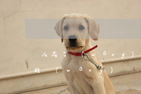 親人欠了網(wǎng)貸 要幫他還嗎(我欠的網(wǎng)貸會讓家里人還嗎)