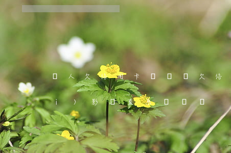 親人欠信用卡債(親屬欠信用卡不還會(huì)影響直系親屬嗎)