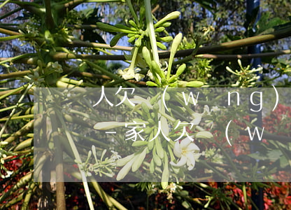 親人欠網(wǎng)貸一直被催款電話騷擾-家人欠網(wǎng)貸整天騷擾我