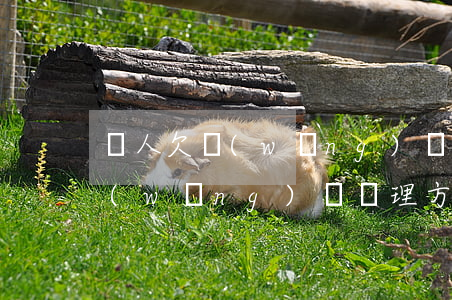 親人欠網(wǎng)貸處理方法(親人欠網(wǎng)貸處理方法)