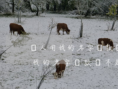 親人用我的名字貸款還不起怎么辦-親人用我的名字貸款還不起怎么辦呢
