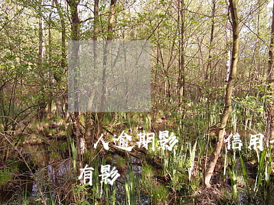 親人逾期影響辦信用卡嗎(信用卡逾期對子女有影響嗎)