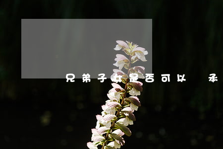 親兄弟子女是否可以繼承遺產(chǎn)