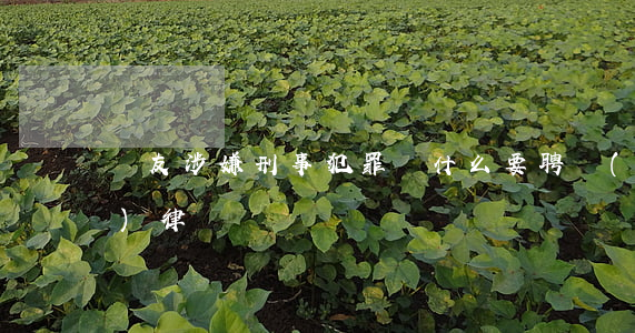 親友涉嫌刑事犯罪，為什么要聘請(qǐng)律師