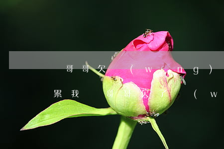 親哥哥欠網(wǎng)貸會(huì)連累我嗎(哥哥欠了網(wǎng)貸還不上)