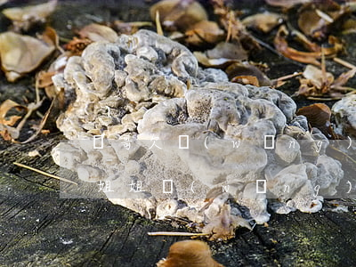 親哥欠網(wǎng)貸妹妹政審有問題嗎(姐姐網(wǎng)貸逾期影響弟弟當(dāng)兵政審嗎)