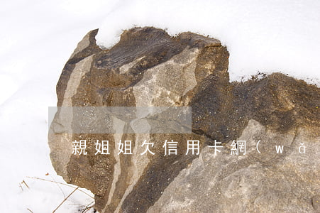 親姐姐欠信用卡網(wǎng)貸