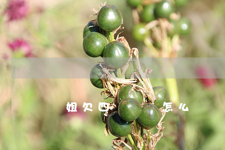 親姐欠四萬網貸怎么辦(親姐姐網貸欠了很多錢)