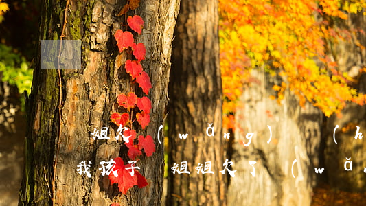 親姐欠網(wǎng)貸會(huì)影響我孩子嗎(姐姐欠了網(wǎng)貸會(huì)連累父母嗎)