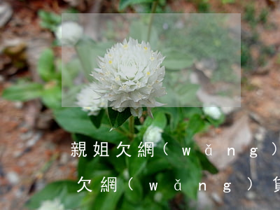 親姐欠網(wǎng)貸會影響父母嗎(親姐欠網(wǎng)貸會影響父母嗎)