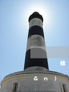 親媽給娃登記了個(gè)假爸爸，點(diǎn)進(jìn)來看看吧！