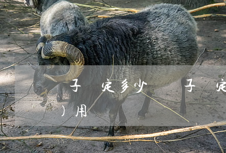 親子鑒定多少錢(親子鑒定多少錢費(fèi)用)