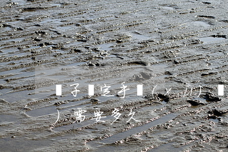 親子鑒定手續(xù)(親子鑒定手續(xù)需要多久)