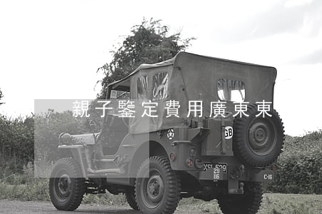 親子鑒定 費用(廣東東莞親子鑒定 費用)