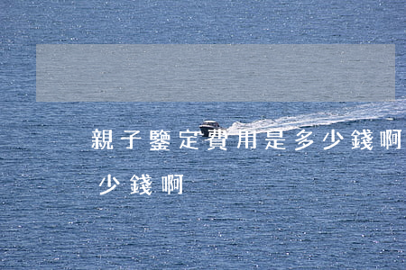 親子鑒定費用是多少錢啊(親子鑒定費用是多少錢啊)