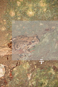 親子鑒定需要多久