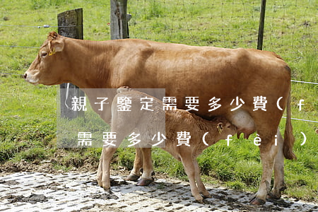 親子鑒定需要多少費(fèi)用(親子鑒定需要多少費(fèi)用結(jié)果多久出)