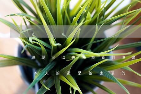 親屬可以去法院查判決書嗎(法院判決書是給本人的還是給家屬的)