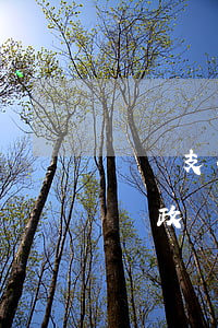 親屬支付寶逾期會影響政審嗎(支付寶欠款影響政審嗎)