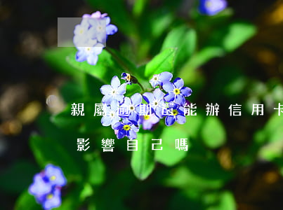 親屬逾期還能辦信用卡嗎(親人信用卡逾期會影響自己嗎)