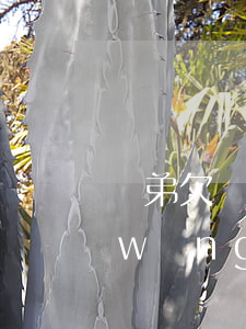 親弟欠網(wǎng)貸16萬怎么辦(網(wǎng)貸欠16萬左右怎么辦?)