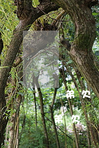 親弟欠網(wǎng)貸會不會連累家人(親弟欠網(wǎng)貸會不會連累家人)