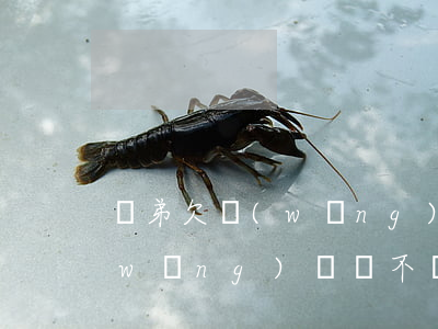 親弟欠網(wǎng)貸還不上(弟弟欠網(wǎng)貸該不該幫他)