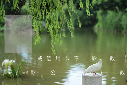 親戚信用卡不還影響政審嗎(叔叔欠信用卡會影響公務(wù)員政審)