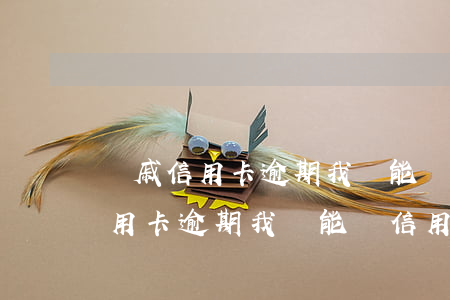 親戚信用卡逾期我還能辦信用卡嗎-親戚信用卡逾期我還能辦信用卡嗎知乎