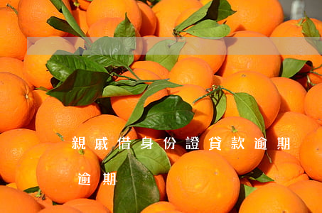 親戚借身份證貸款逾期(別人用我身份證貸款逾期)