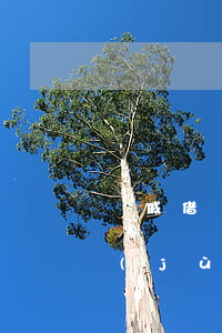親戚借錢怎么打官司(親戚借錢如何留下證據(jù))