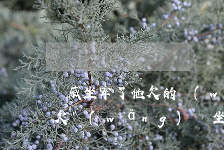 親戚坐牢了 他欠的網(wǎng)貸怎么辦(欠網(wǎng)貸坐牢親身經(jīng)歷)