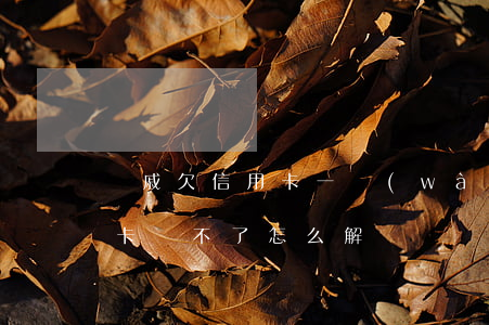 親戚欠信用卡一萬(wàn)元(親戚欠信用卡還不了怎么解決)