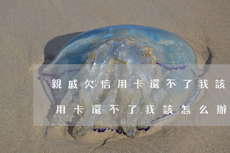 親戚欠信用卡還不了我該怎么辦-親戚欠信用卡還不了我該怎么辦呢