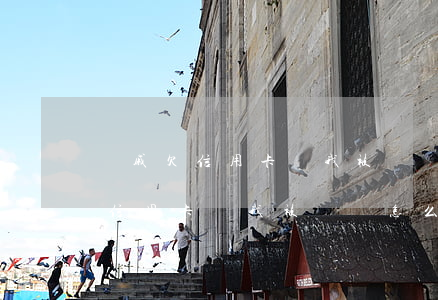 親戚欠信用卡錢我被騷擾怎么投訴-親戚欠信用卡錢我被騷擾怎么投訴他