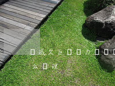 親戚欠巨資無力償還(親戚欠巨資無力償還怎么處理)