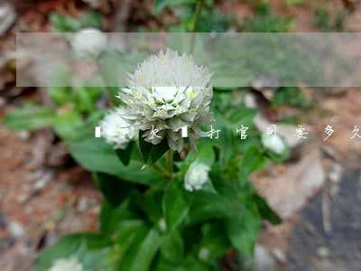 親戚欠錢打官司要多久(欠親戚錢被起訴)