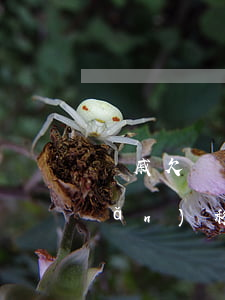 親戚欠錢起訴財產(chǎn)轉(zhuǎn)移(親戚欠錢起訴財產(chǎn)轉(zhuǎn)移怎么辦)