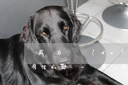 親戚無力償還對(duì)債務(wù)人有什么影響-親戚無力償還對(duì)債務(wù)人有什么影響嗎