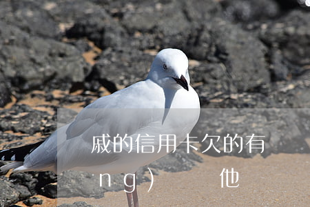 親戚的信用卡欠的有錢(親人欠信用卡應(yīng)該幫他還嗎)